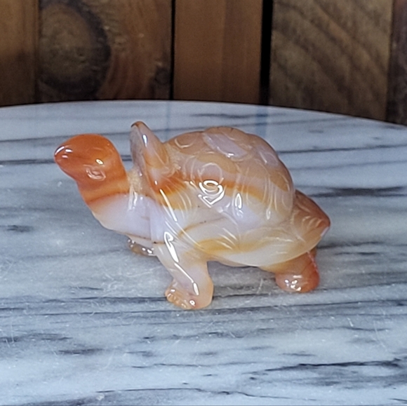 Other - Xarnelian Land Tortoise